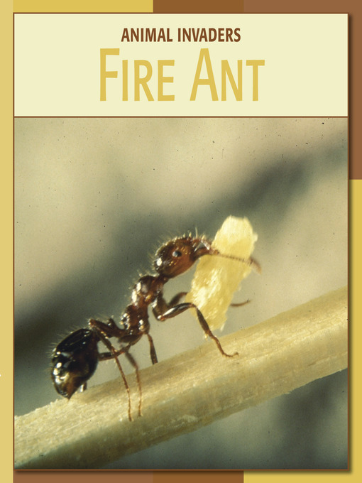 Title details for Fire Ant by Barbara A. Somervill - Available